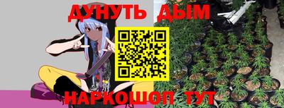 прущие грибы Комсомольск-на-Амуре