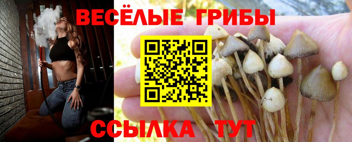Галлюциногенные грибы MAGIC MUSHROOMS Шебекино