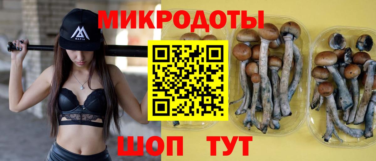 Шебекино  Галлюциногенные грибы Magic Shrooms  наркотики  Вход с VPN 